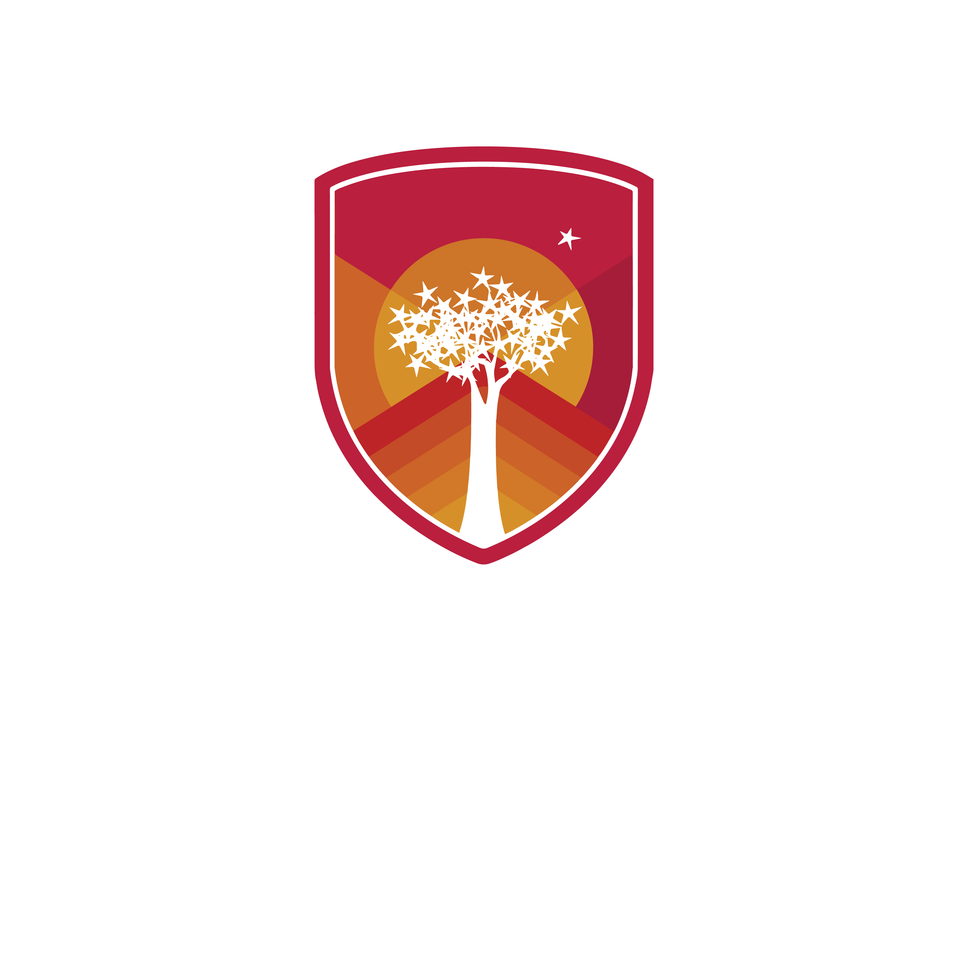 Sol Plaatje University